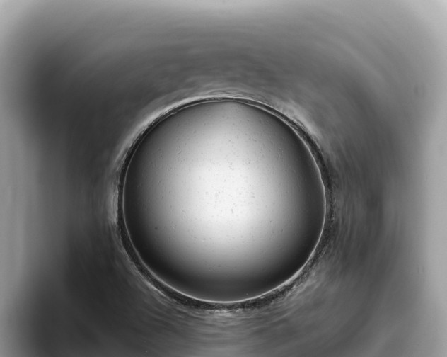 X0000093421504200710190955