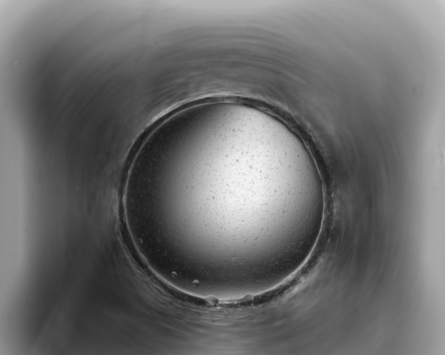 X0000093421505200710190955