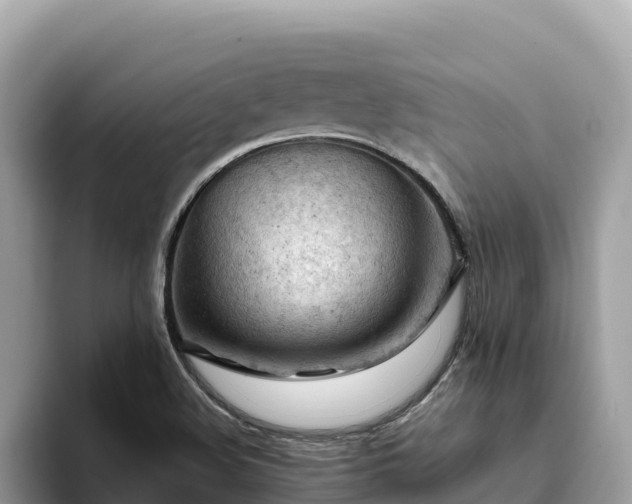 X0000093421508200710190955