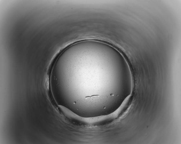 X0000093421509200710190955