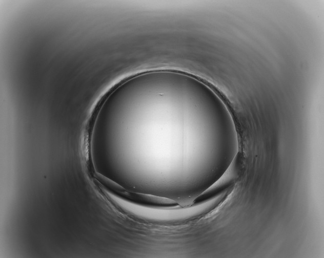X0000093421510200710190955