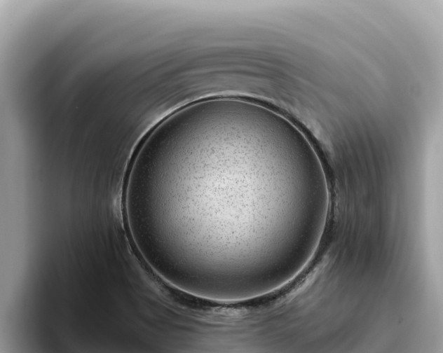 X0000093421513200710190955
