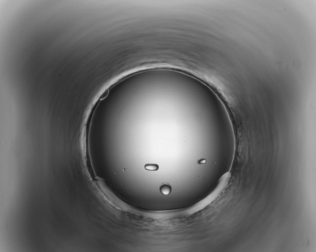 X0000093421516200710190955