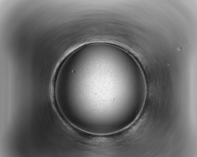 X0000093421517200710190955