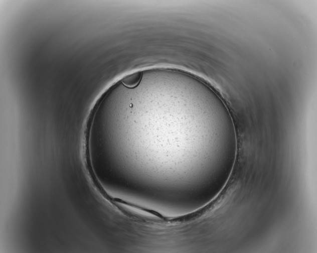X0000093421518200710190955