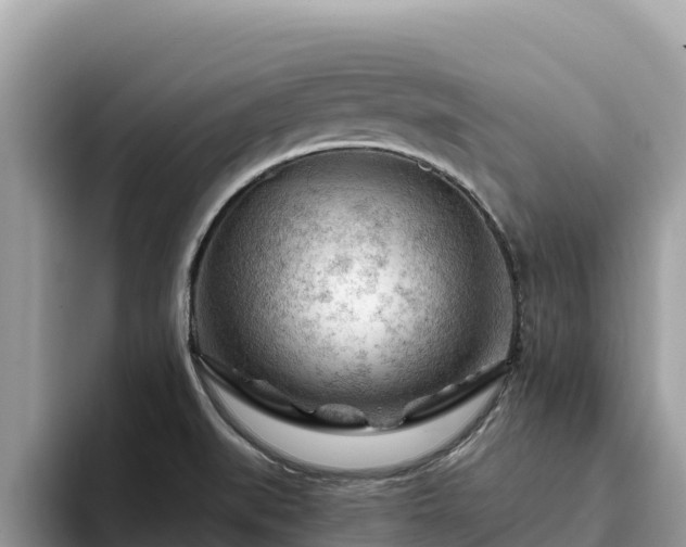 X0000093421519200710190955