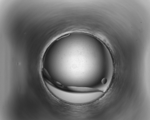 X0000093421520200710190955