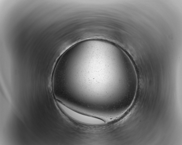 X0000093421521200710190955