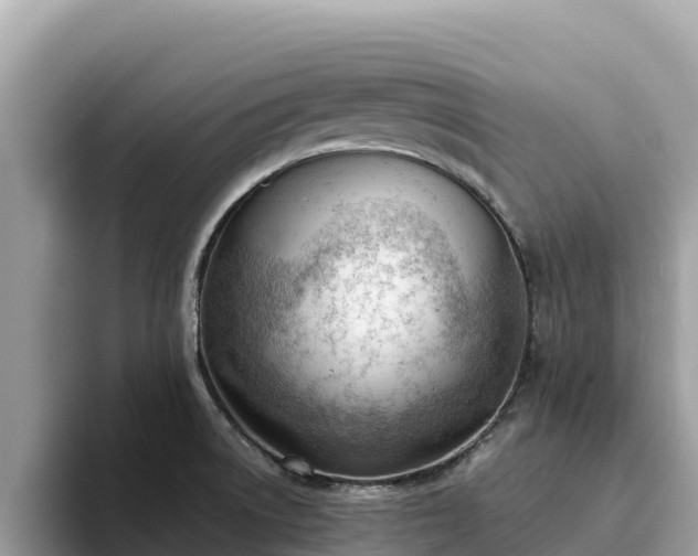 X0000093421522200710190955
