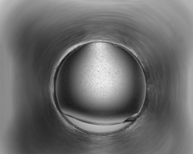 X0000093421523200710190955