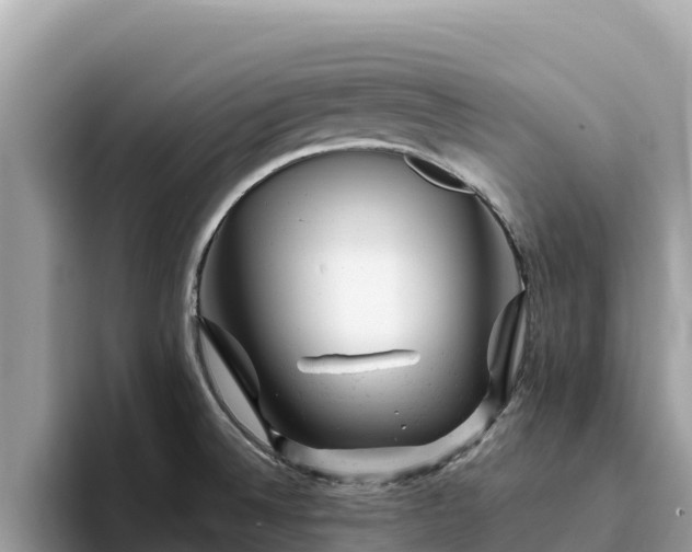 X0000093421524200710190955
