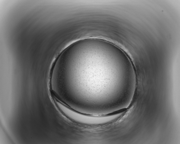 X0000093421525200710190955