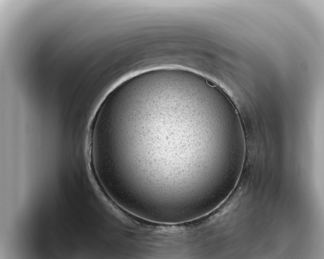 X0000093421526200710190955