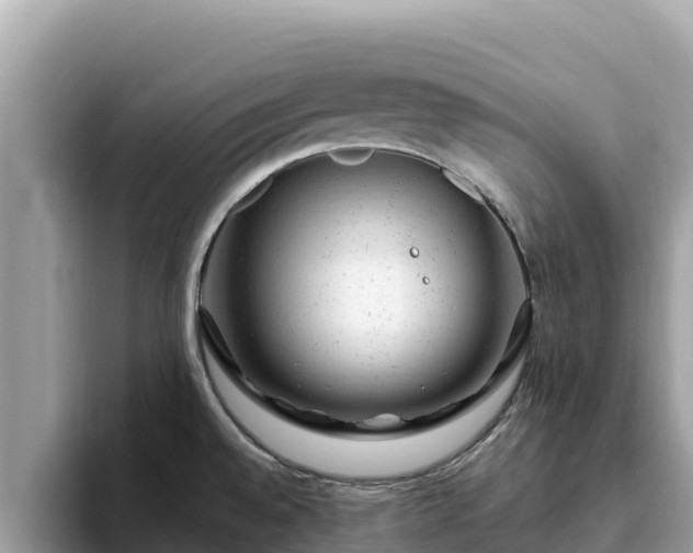 X0000093421528200710190955
