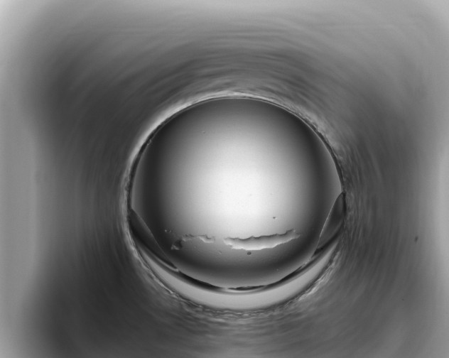 X0000093421530200710190955