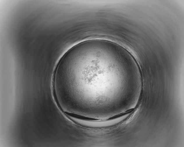 X0000093421533200710190955