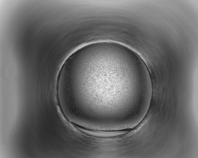 X0000093421534200710190955