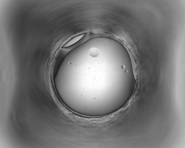 X0000093420001200710261008