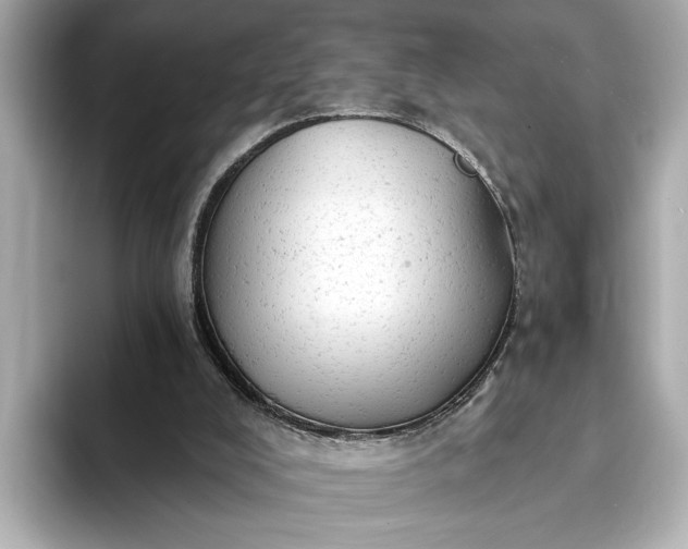 X0000093420008200710261008