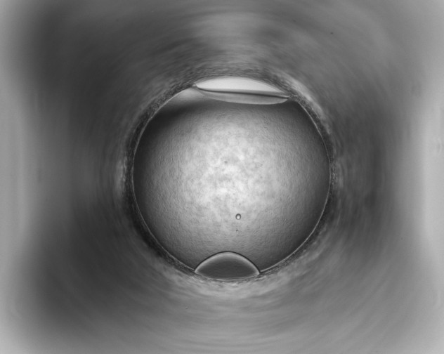 X0000093420018200710261008