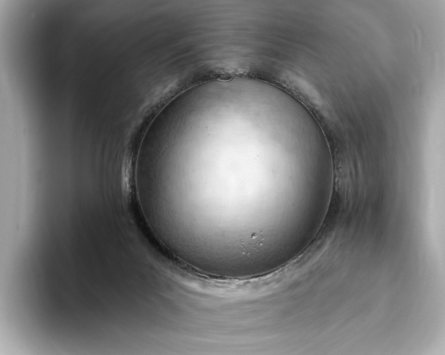 X0000093420023200710261008