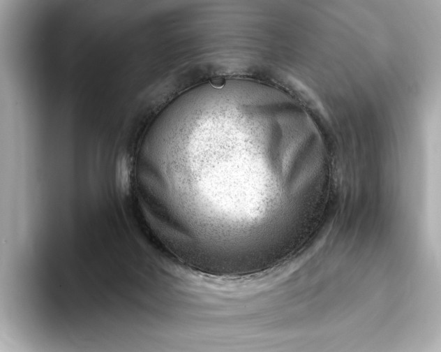 X0000093420026200710261008