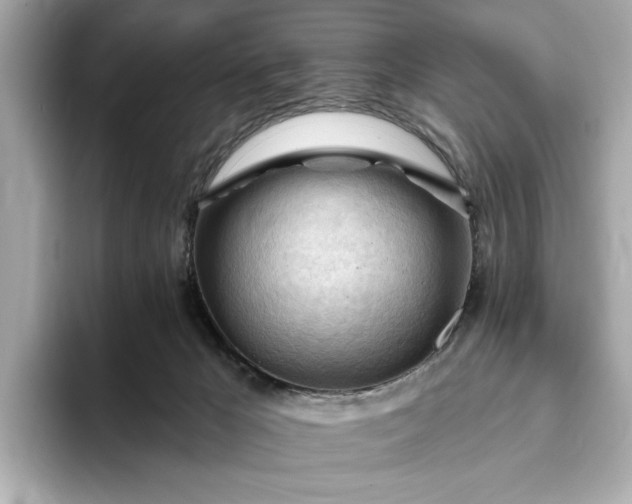 X0000093420029200710261008