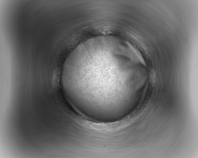 X0000093420030200710261008