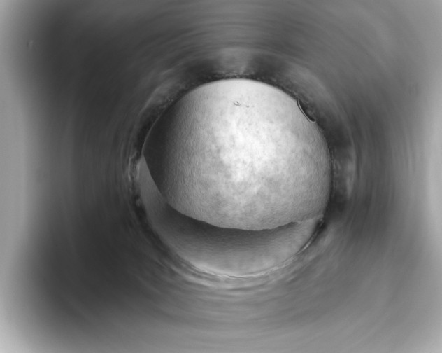 X0000093420035200710261008