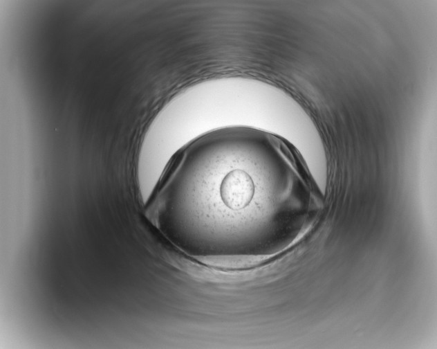 X0000093420039200710261008