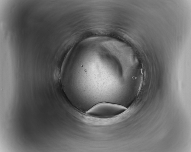 X0000093420048200710261008