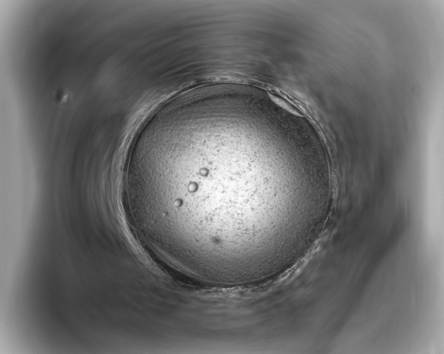 X0000093420049200710261007