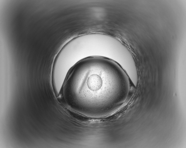 X0000093420052200710261007