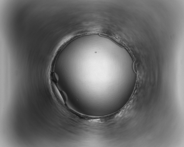 X0000093420054200710261007