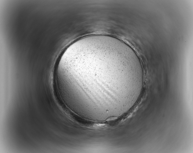 X0000093420055200710261007