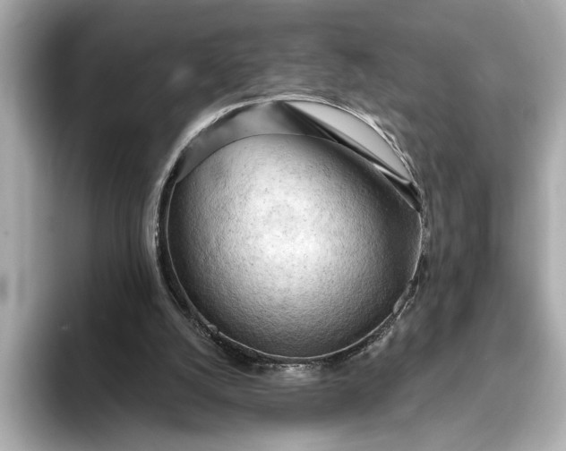 X0000093420056200710261007