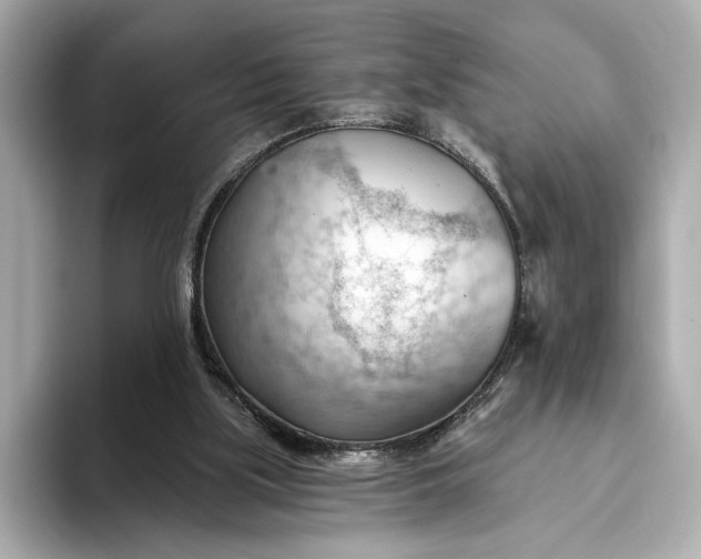 X0000093420059200710261007