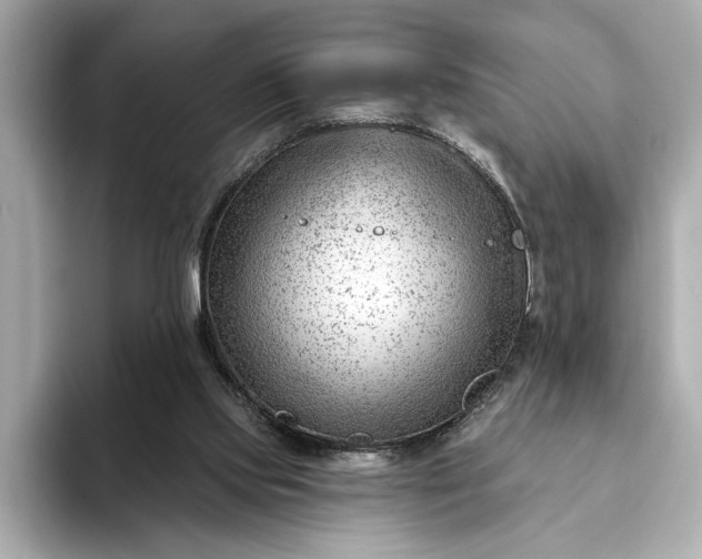 X0000093420061200710261007