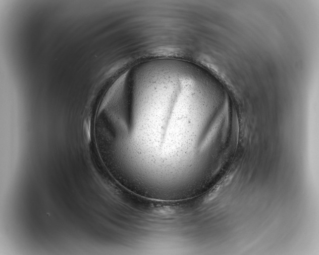 X0000093420062200710261007