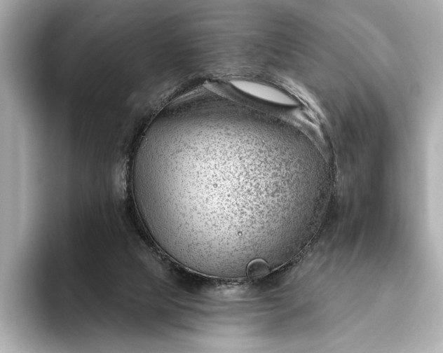 X0000093420065200710261007