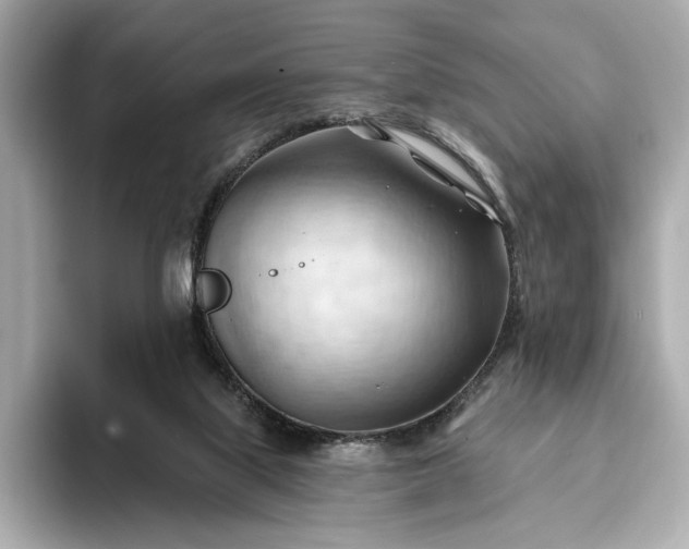 X0000093420067200710261007