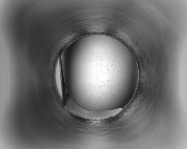 X0000093420068200710261007