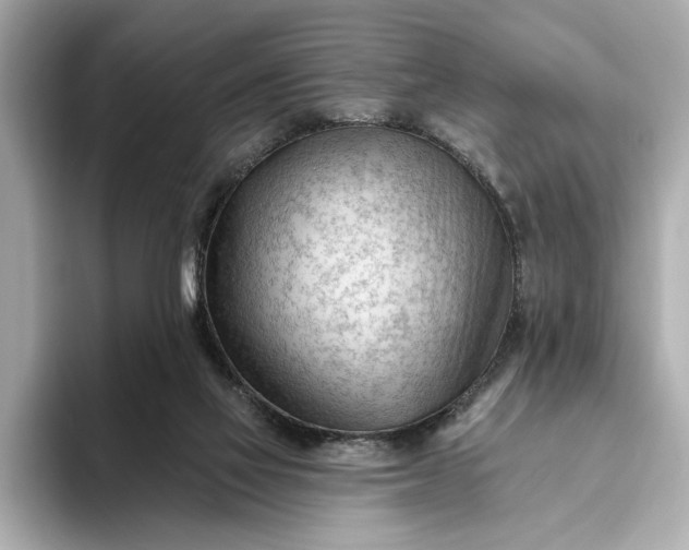 X0000093420069200710261007