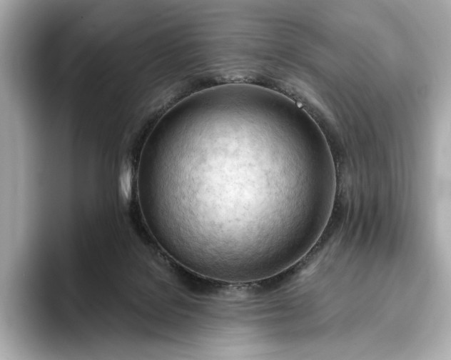 X0000093420076200710261007