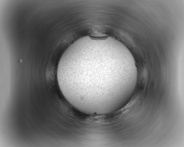 X0000093420078200710261007