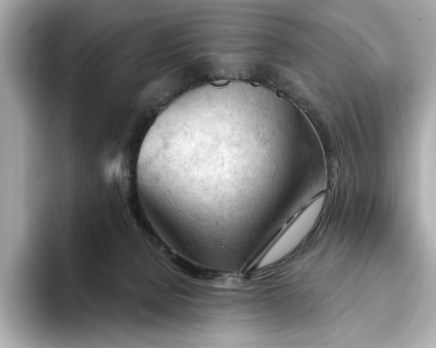 X0000093420080200710261007