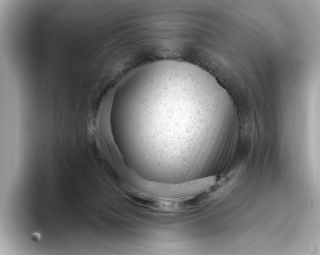 X0000093420084200710261007