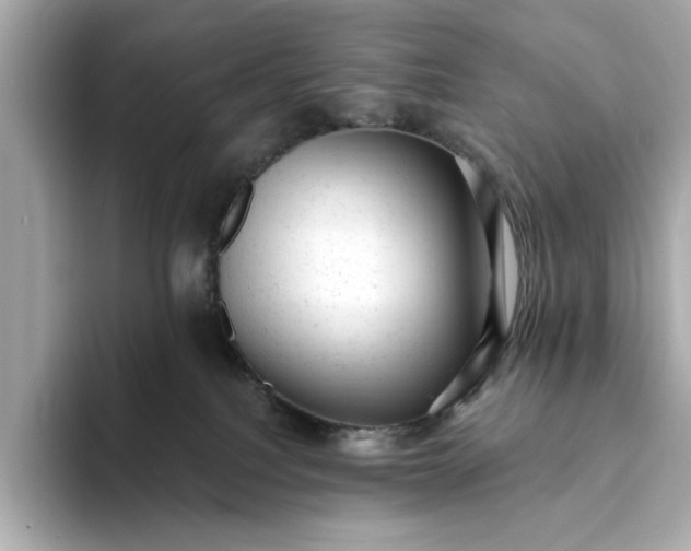 X0000093420088200710261008