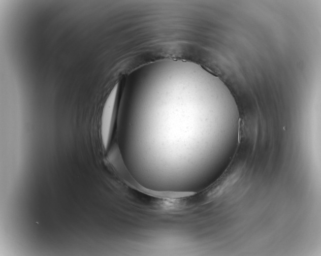 X0000093420092200710261008