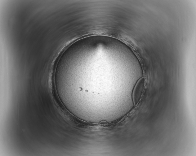 X0000093420098200710261007